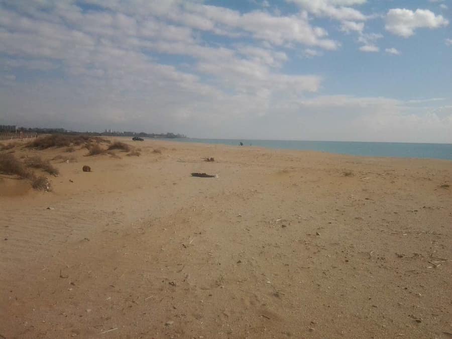 Tarım Kredı Tesisleri Plajı — Adana, Yumurtalık