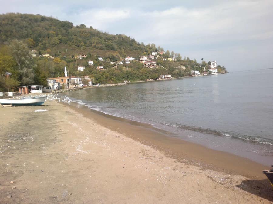 Perşembe Çeşme Önü Plajı — Ordu, Perşembe