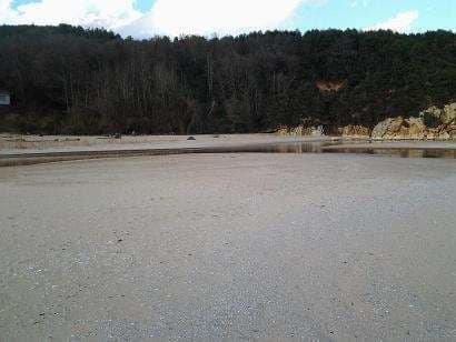 Çamlıkoy Tabiat Parkı Özel Plaj — Tekirdağ, Saray