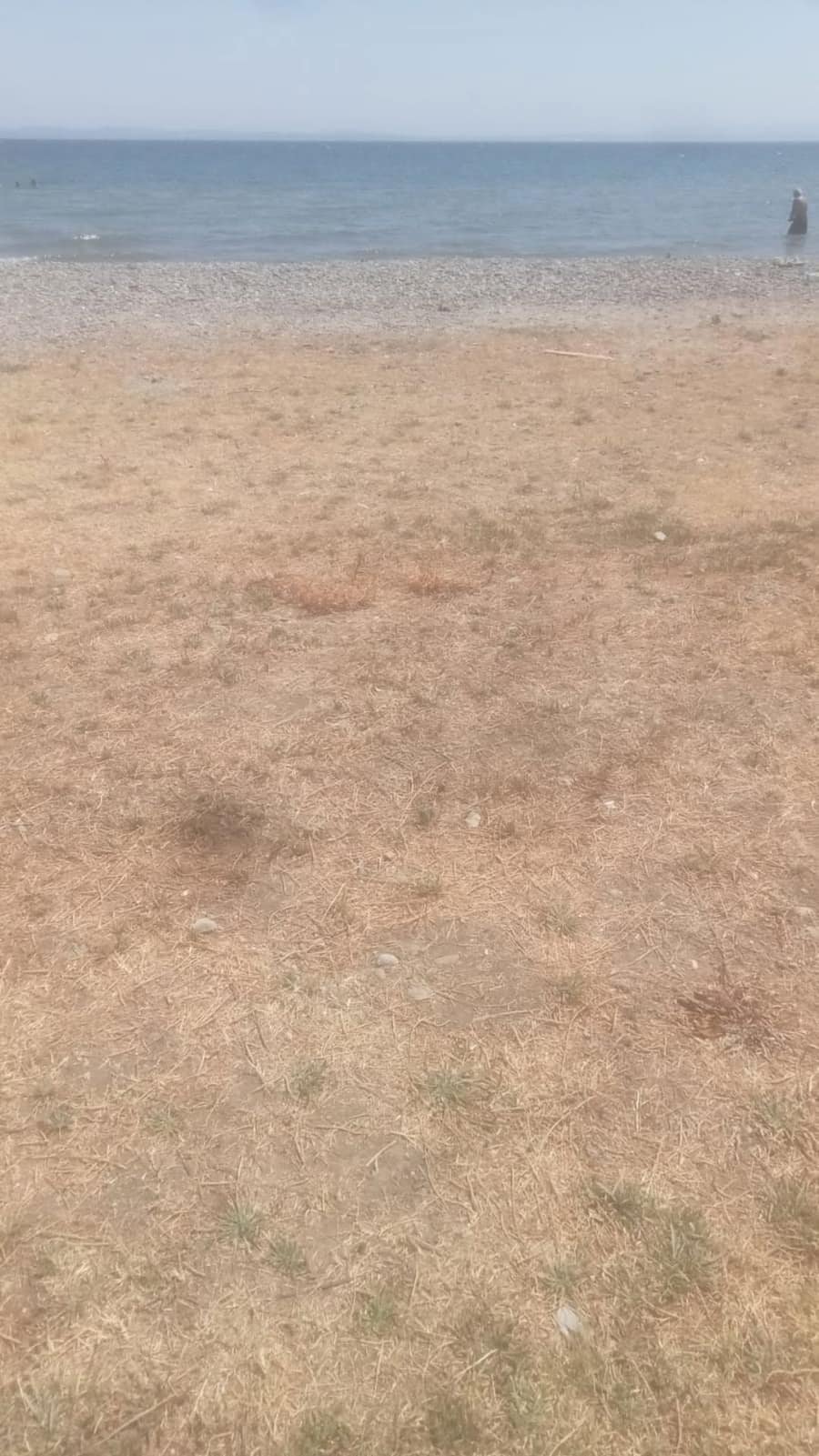 Kovalık Mevki Halk Plajı — Tekirdağ, Şarköy