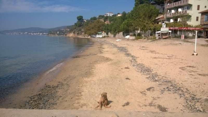 Fıstıklı Köy Sahili — Yalova, Armutlu