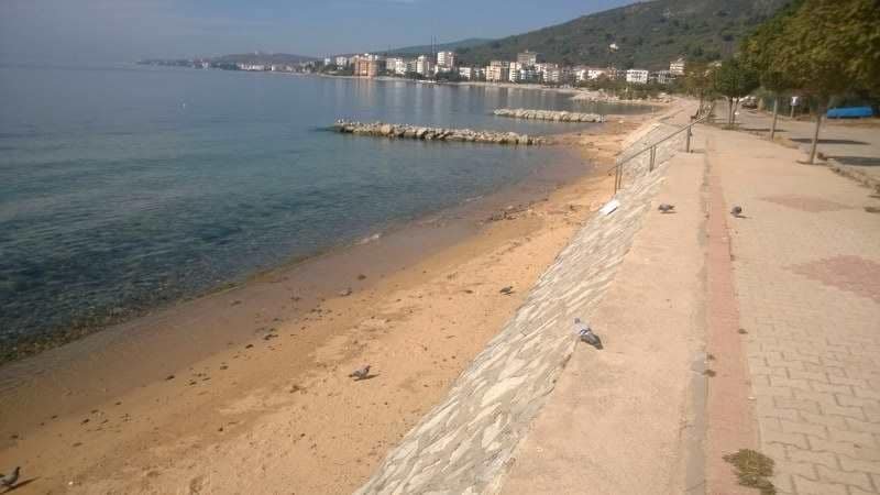 Yılandar Mevkii Plajı — Yalova, Armutlu